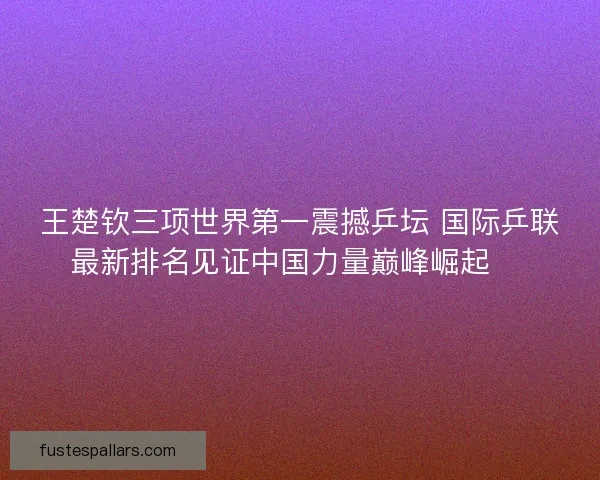 王楚钦三项世界第一震撼乒坛 国际乒联最新排名见证中国力量巅峰崛起 🏓