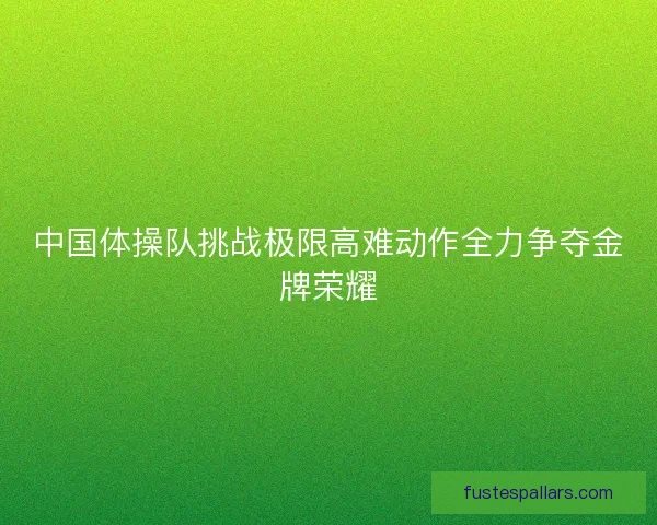 中国体操队挑战极限高难动作全力争夺金牌荣耀 中国体操队挑战极限高难动作全力争夺金牌荣耀